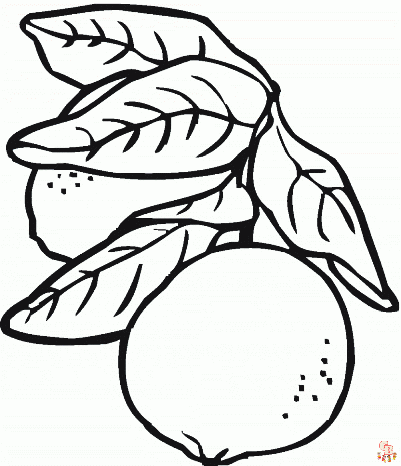 Lemon coloring pages refreshing and fun art activities for kids