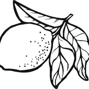 Lemon coloring pages printable for free download