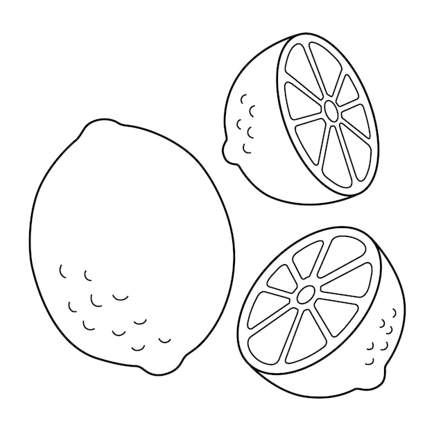 Premium vector lemon fruit isolated coloring page for kids