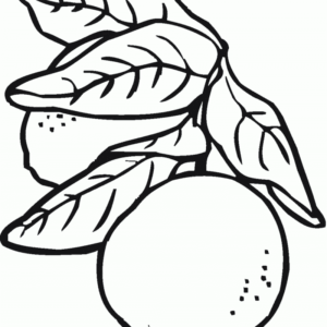 Lemon coloring pages printable for free download