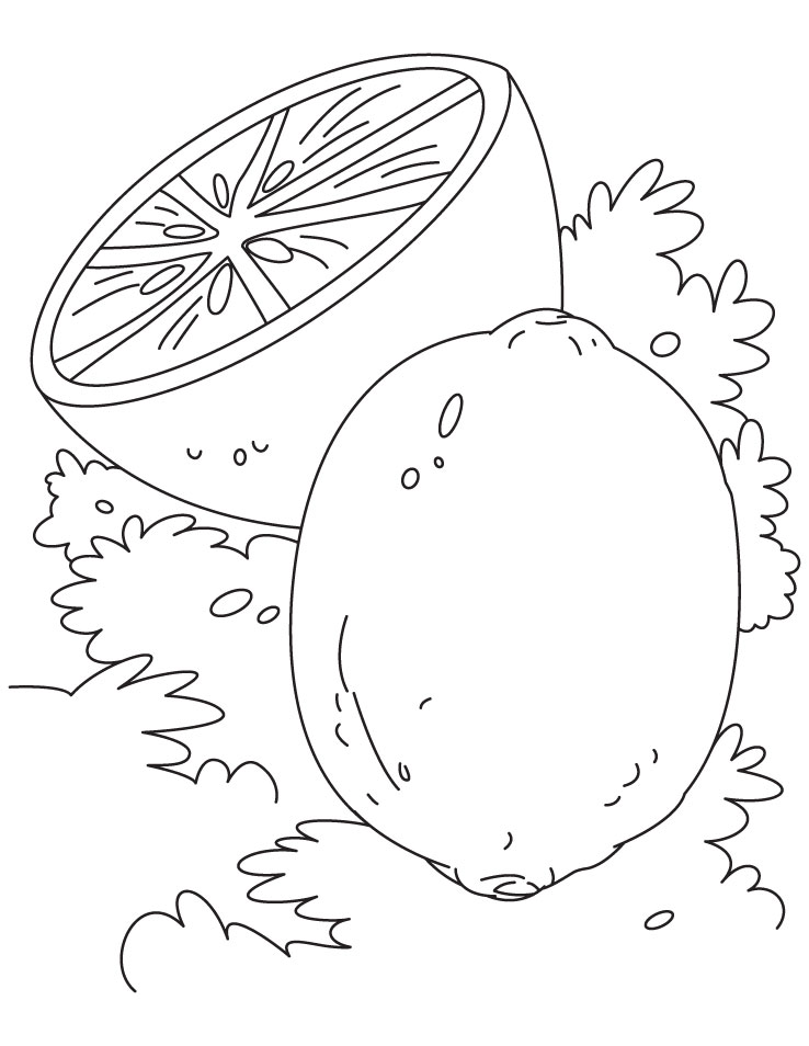 Lime and lemon coloring pages download free lime and lemon coloring pages for kids best coloring pages