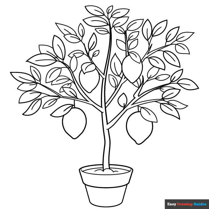 Free printable tree coloring pages for kids