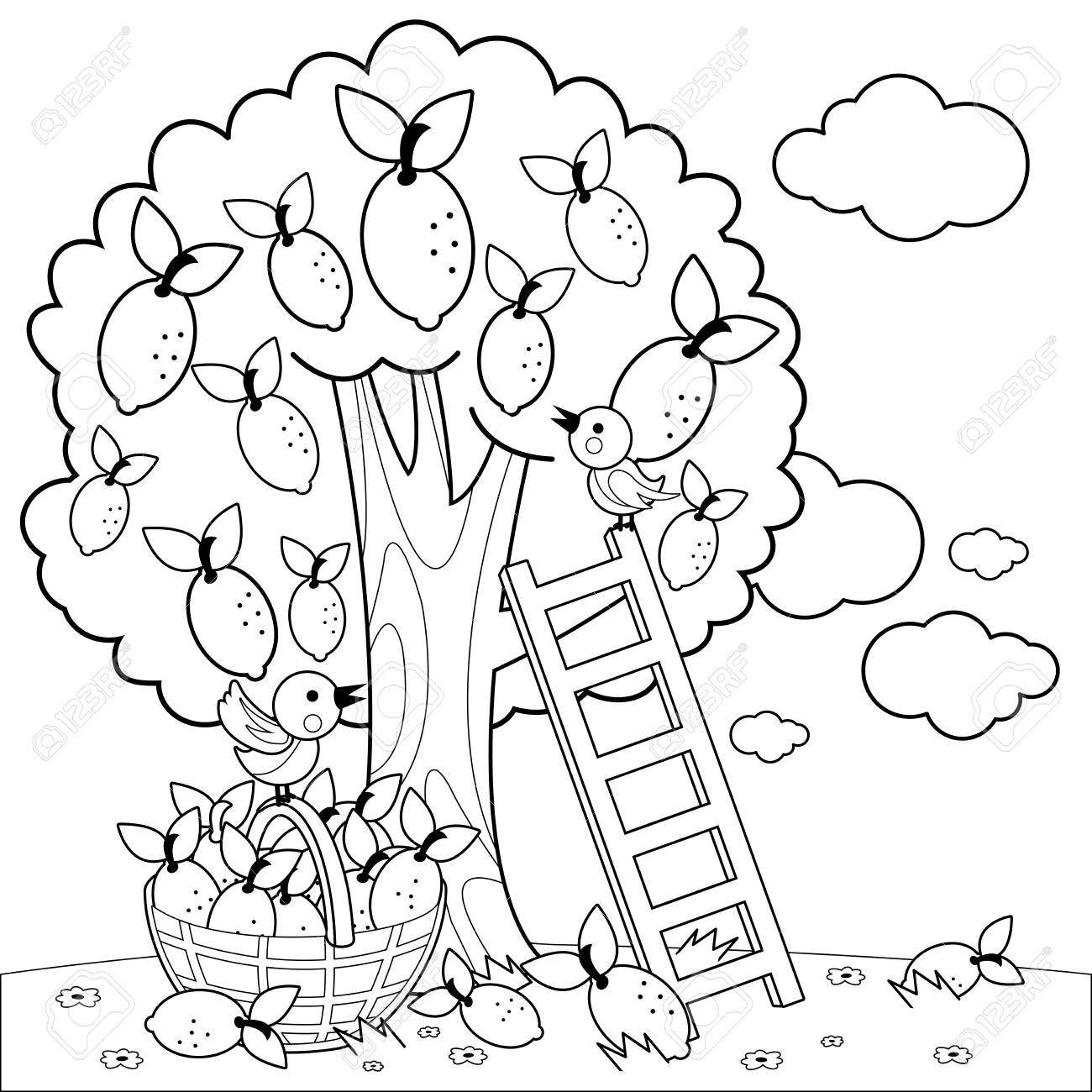 Lemon tree harvesting coloring book page royalty free svg cliparts vectors and stock illustration image