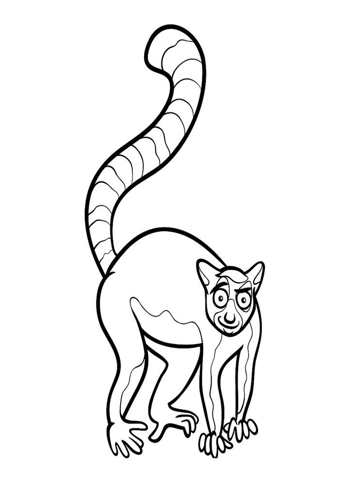 Lemur coloring pages