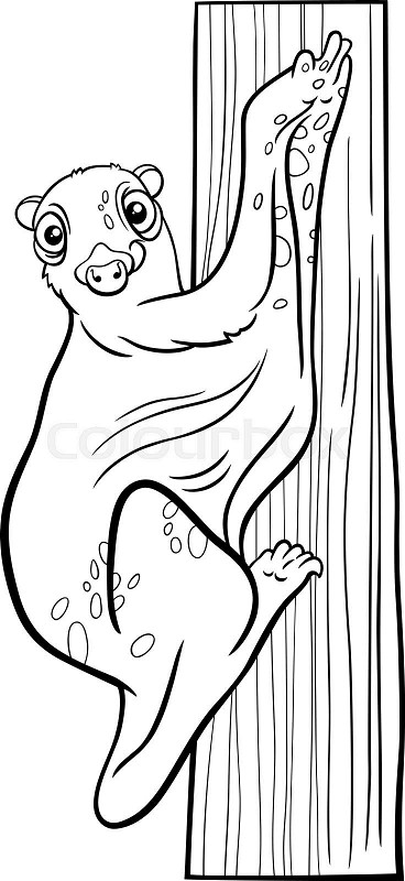 Cartoon flying lemur or colugo animal character coloring book page stock vector