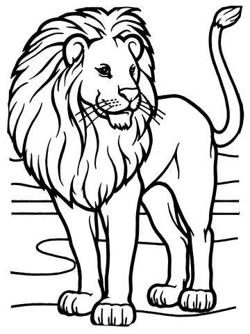 Male african lion coloring page from lions category select from printable crafts of cartoons natureâ ausmalbilder tiere malvorlagen tiere lãwenzeichnung