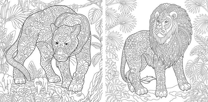 Lion coloring page for adults images â browse photos vectors and video