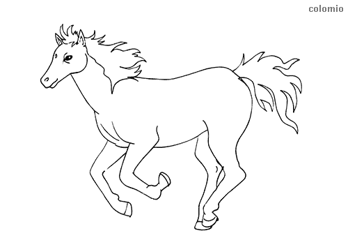 Horses coloring pages free printable horse coloring sheets