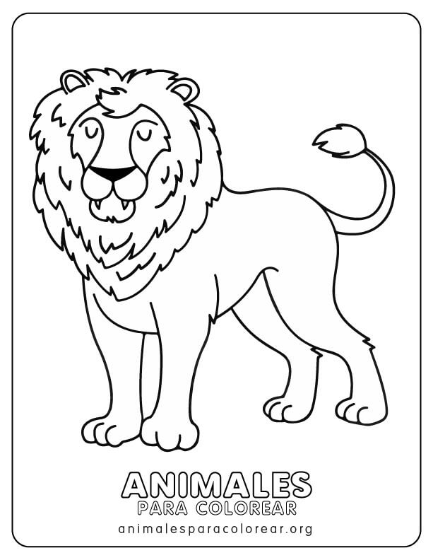 Leones para colorear descargar e imprimir gratis