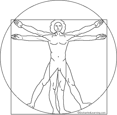 Leonardo da vinci proportions of the human figure coloring page