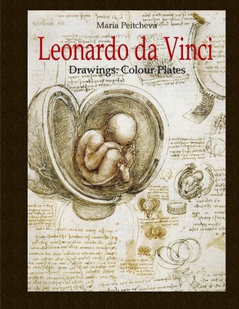 Leonardo da vinci drawings colour plates peitcheva maria books