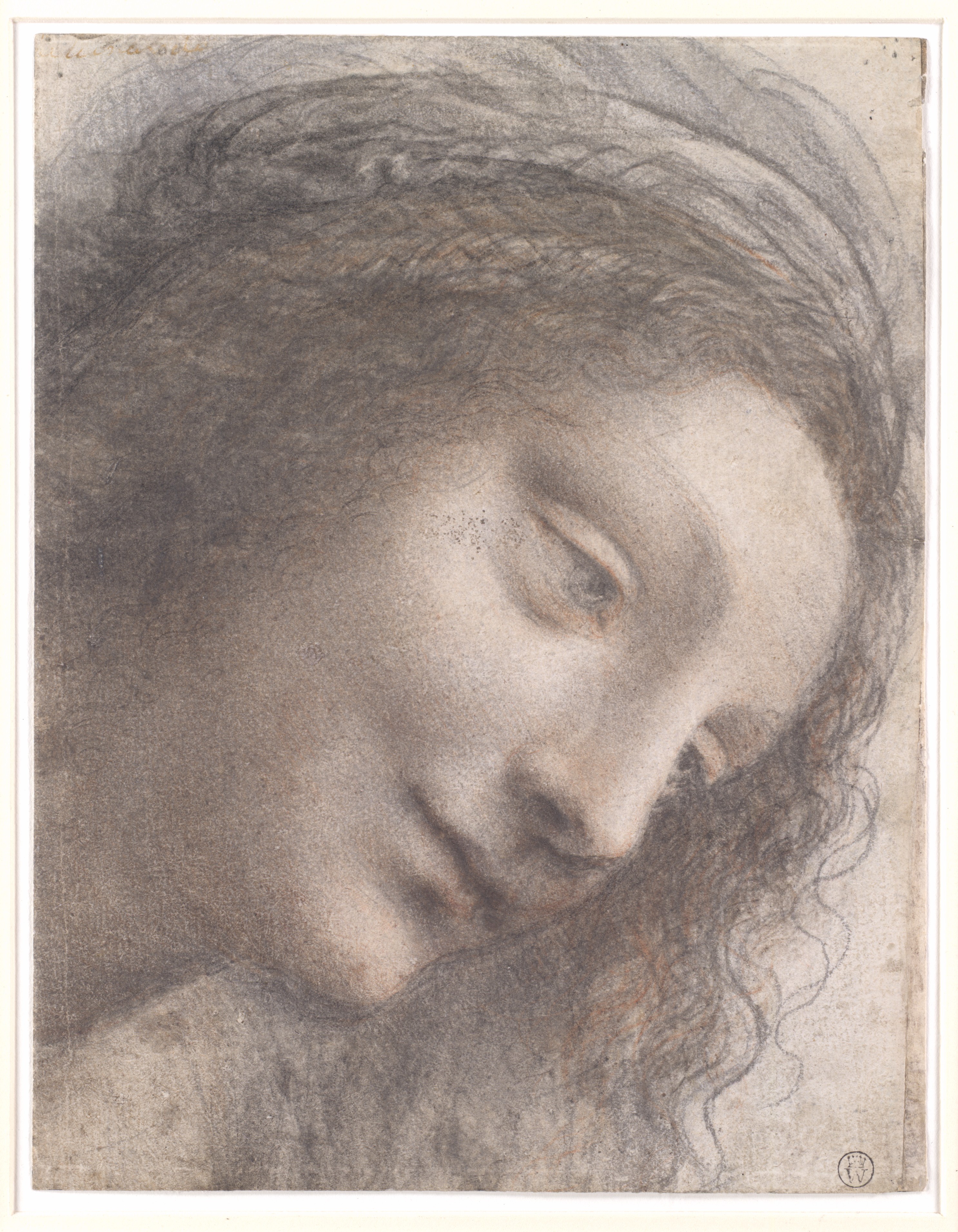 Leonardo da vinci the head of the virgin in three