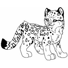 Top free printable leopard coloring pages online snow leopard drawing animal clipart baby snow leopard