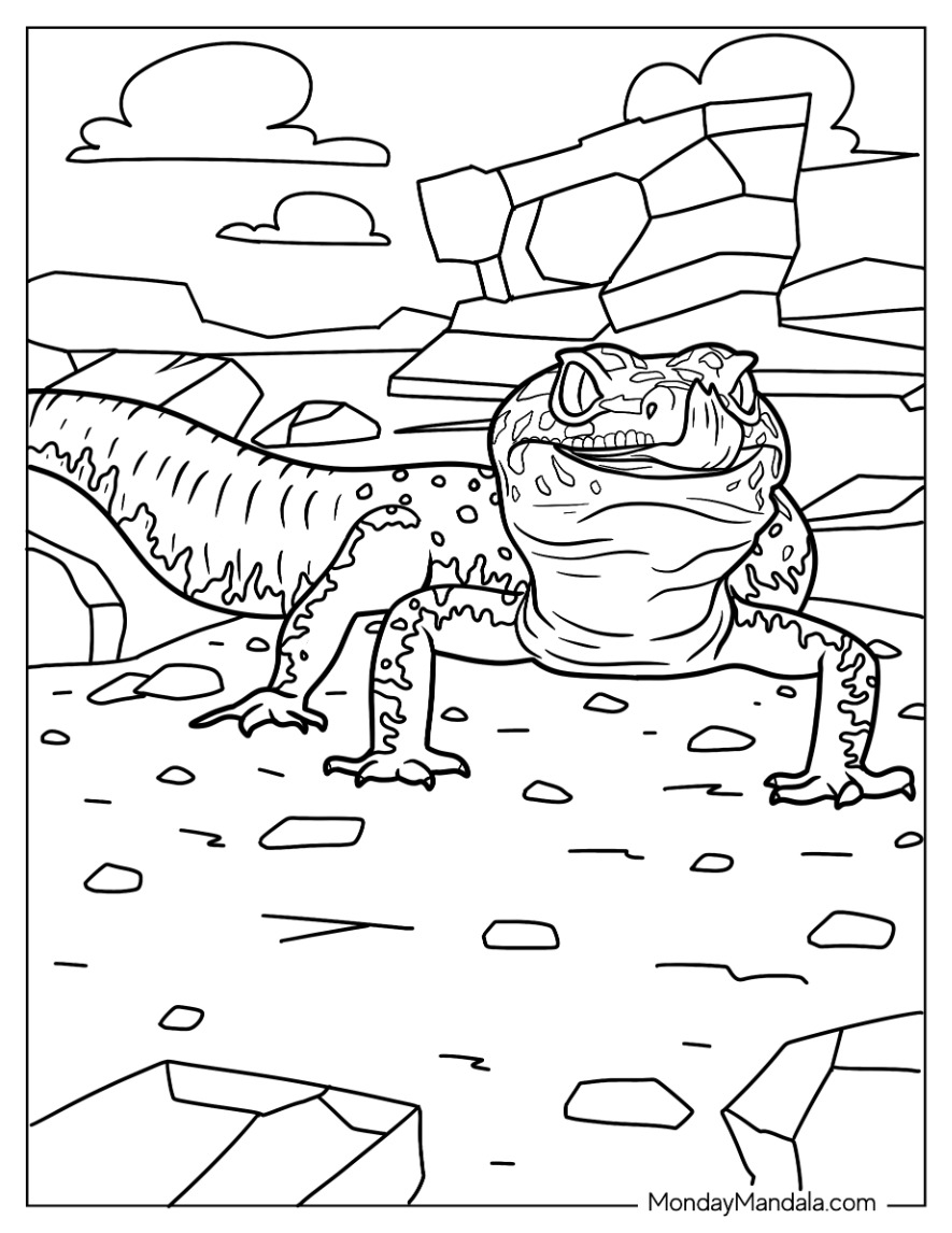 Lizard coloring pages free pdf printables