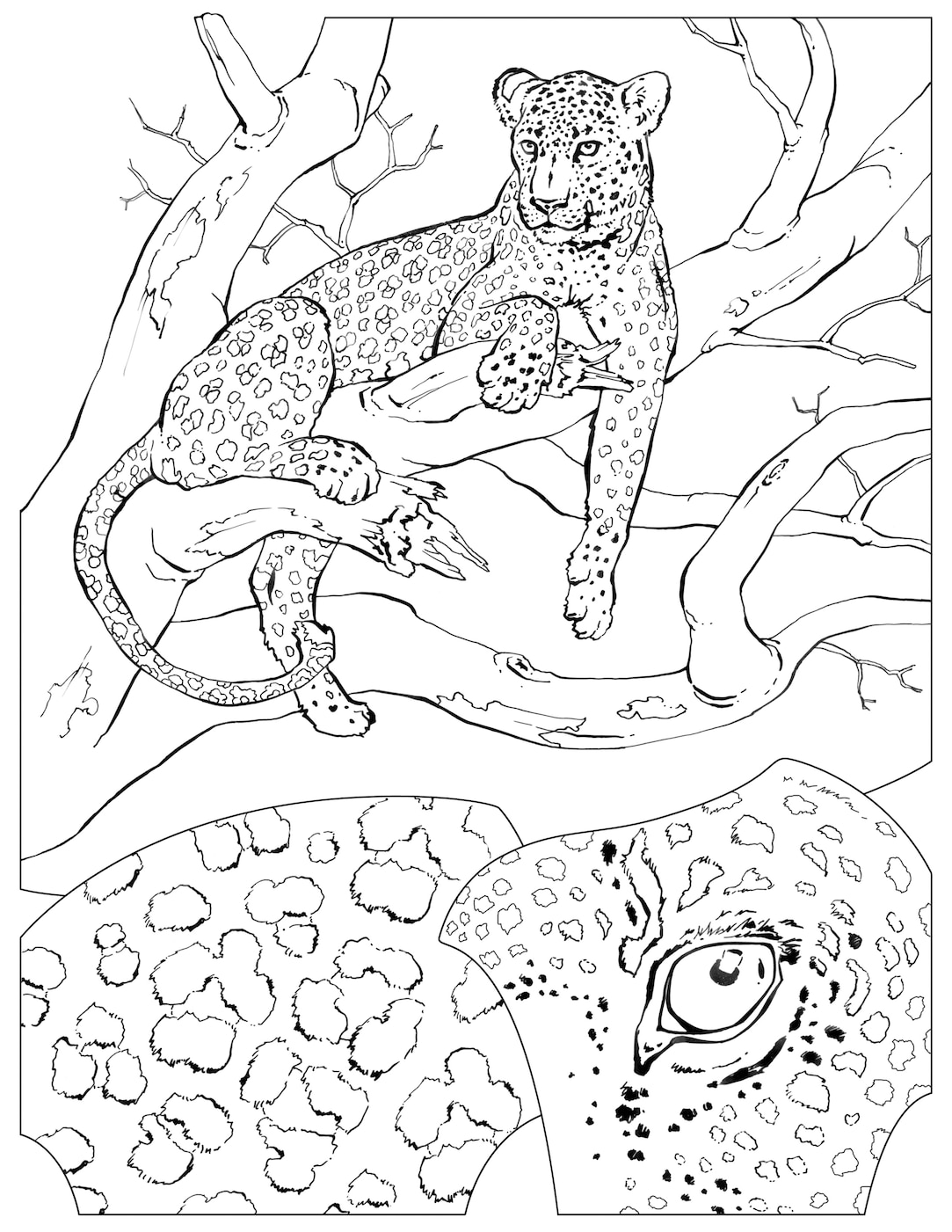 Coloring book animals j to z