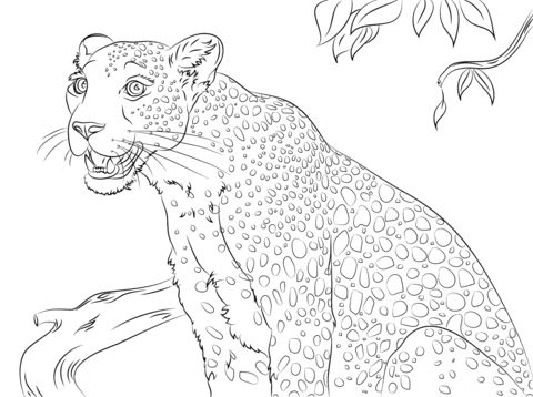 Cute leopard coloring page free printable coloring pages desenhos para colorir colorir desenhos