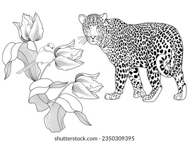 Leopard zentangle images stock photos d objects vectors