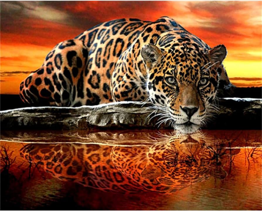 Coloring pages by number kits home decoration pictures painting by numbers leopard animal hand painted art gift arts crafts