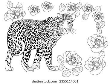 Leopard zentangle images stock photos d objects vectors