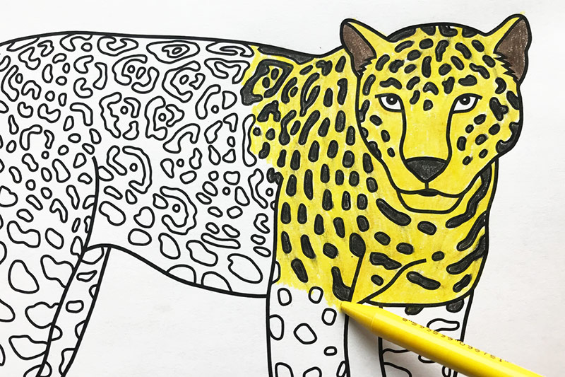 Jaguar free printable templates coloring pages