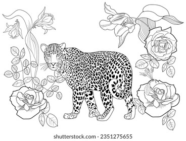 Leopard realistic animal coloring pages stock illustration