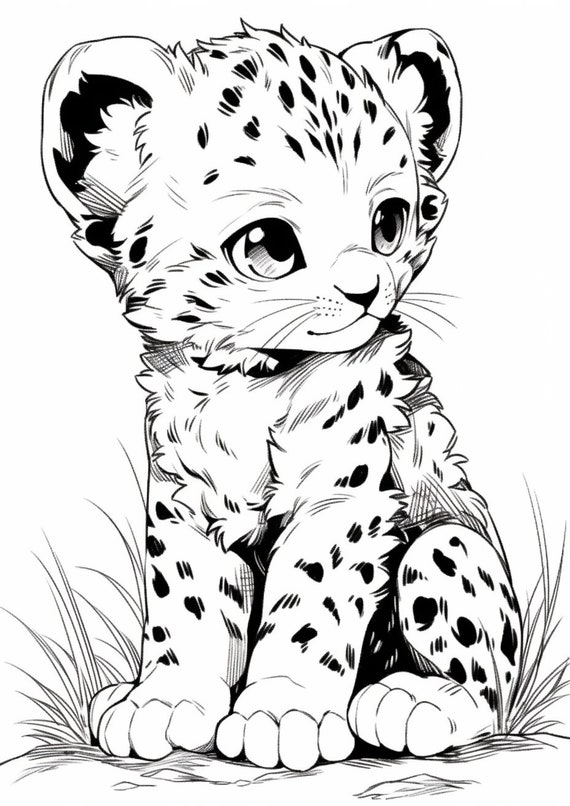 Coloring page for child baby leopard