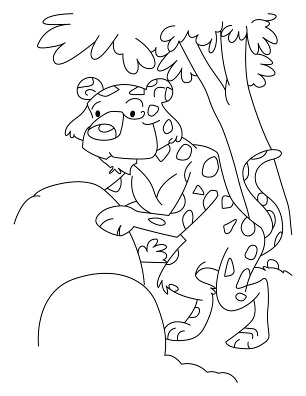 Leopard coloring pages