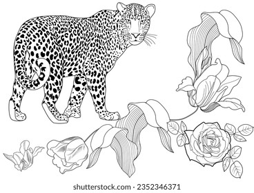 Leopard zentangle images stock photos d objects vectors