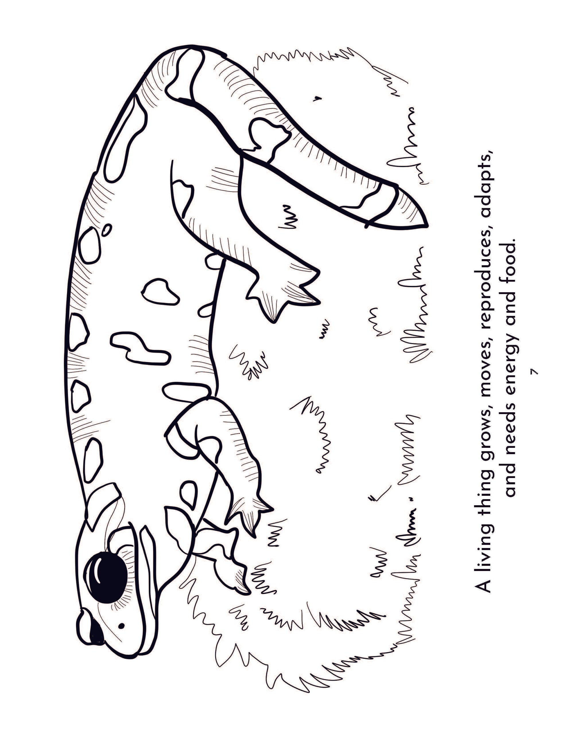 Biology coloring pages