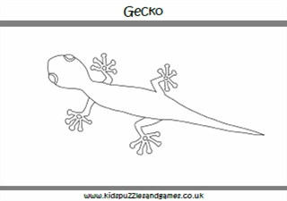 Gecko louring sheets