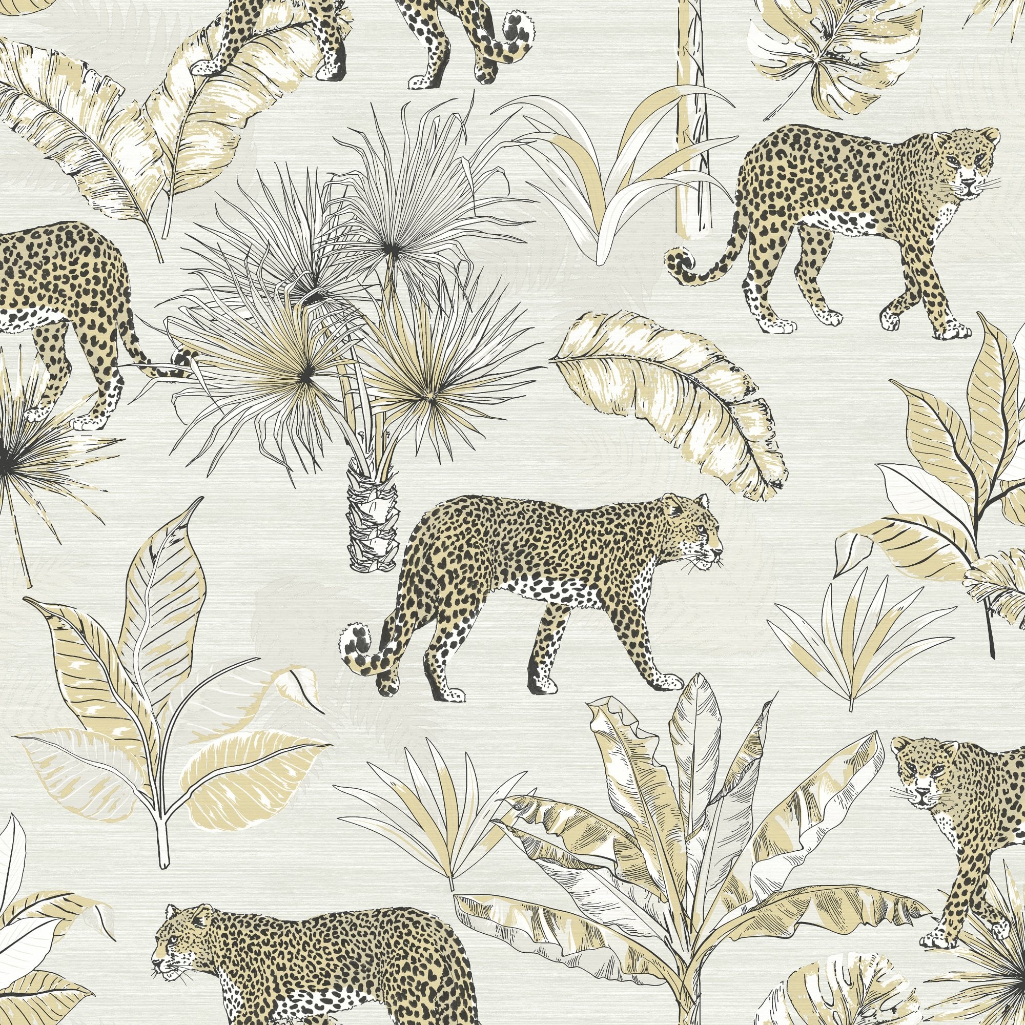 Download Free 100 + leopard jungle Wallpapers