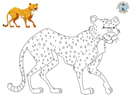 Leopard coloring page