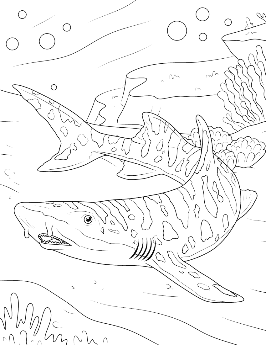 Free coloring pages download or print pdf