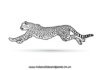 Cheetah running louring page