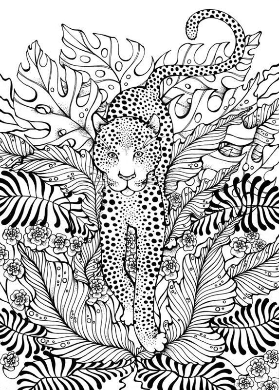 Leopard coloring page jungle coloring pages coloring pages adult coloring pages