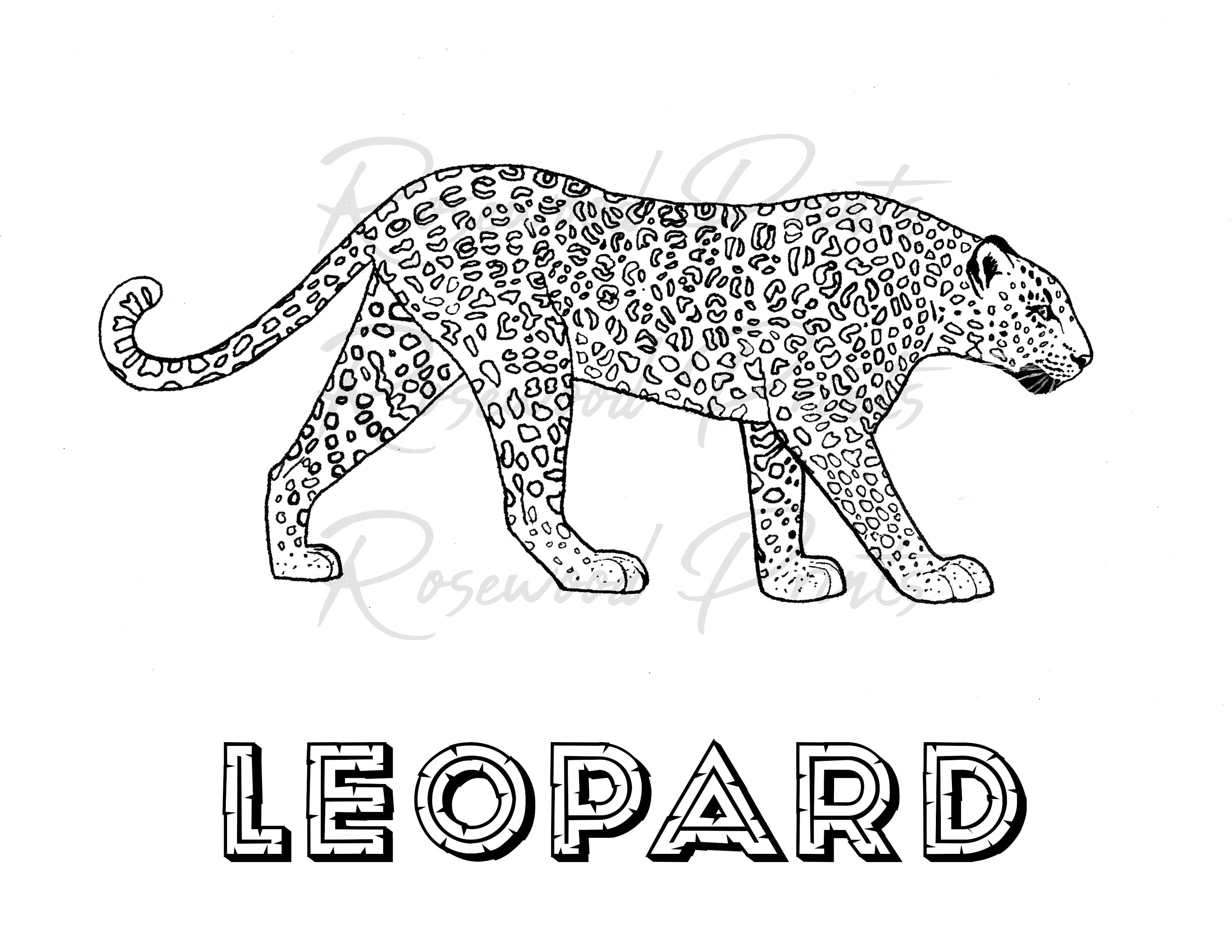 Leopard coloring page