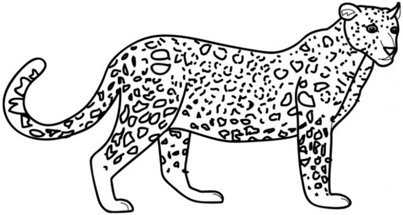 Leopard coloring pages