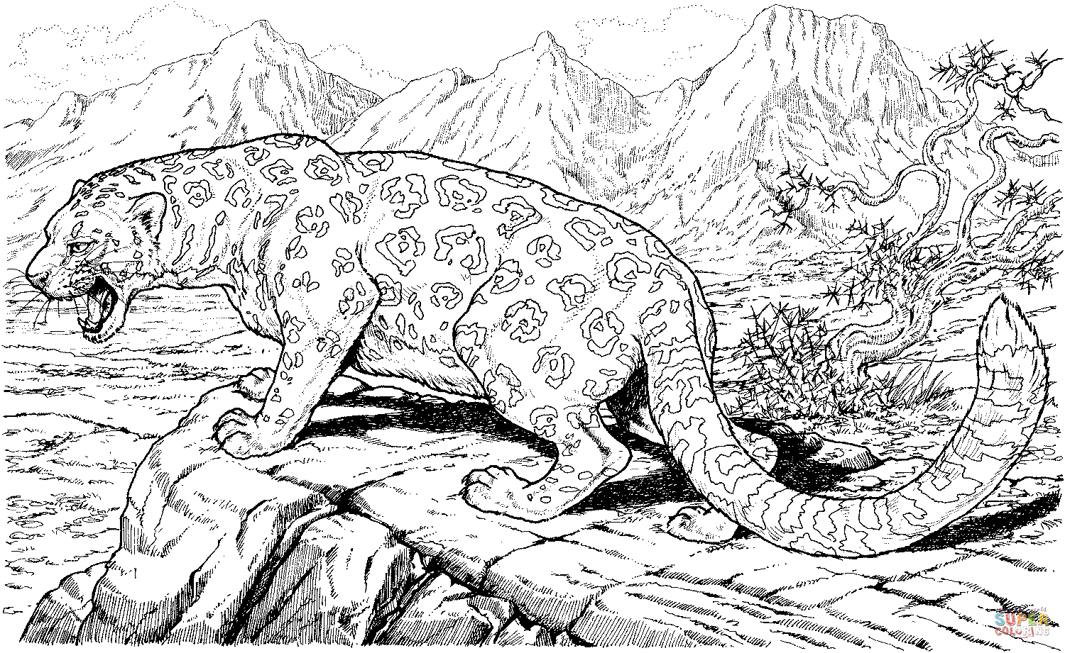 Leopard roars on hills coloring page free printable coloring pages