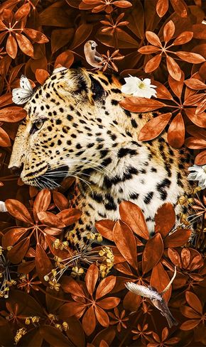Leopard Brown Art Wallpapers - Leopard Wallpapers for iPhone 4k