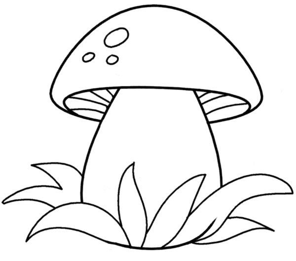 Mushroom coloring pages printable for free download