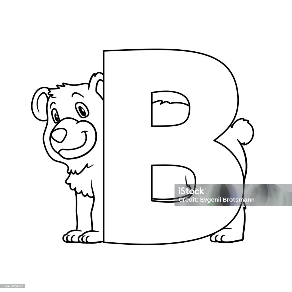 Animal alphabet capital letter b bear illustration for pre school education kindergarten and foreign language learning for kids and children coloring page and books zoo topic stock illustration