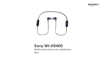 Sony wi