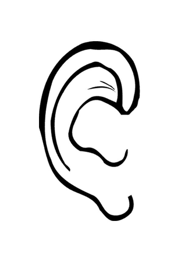 Body parts ears clipart