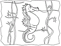 Seahorse coloring pages and printable activities