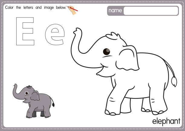 E for elephant stock illustrations royalty