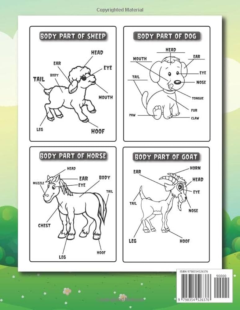 Animal body parts activity book for kids ag