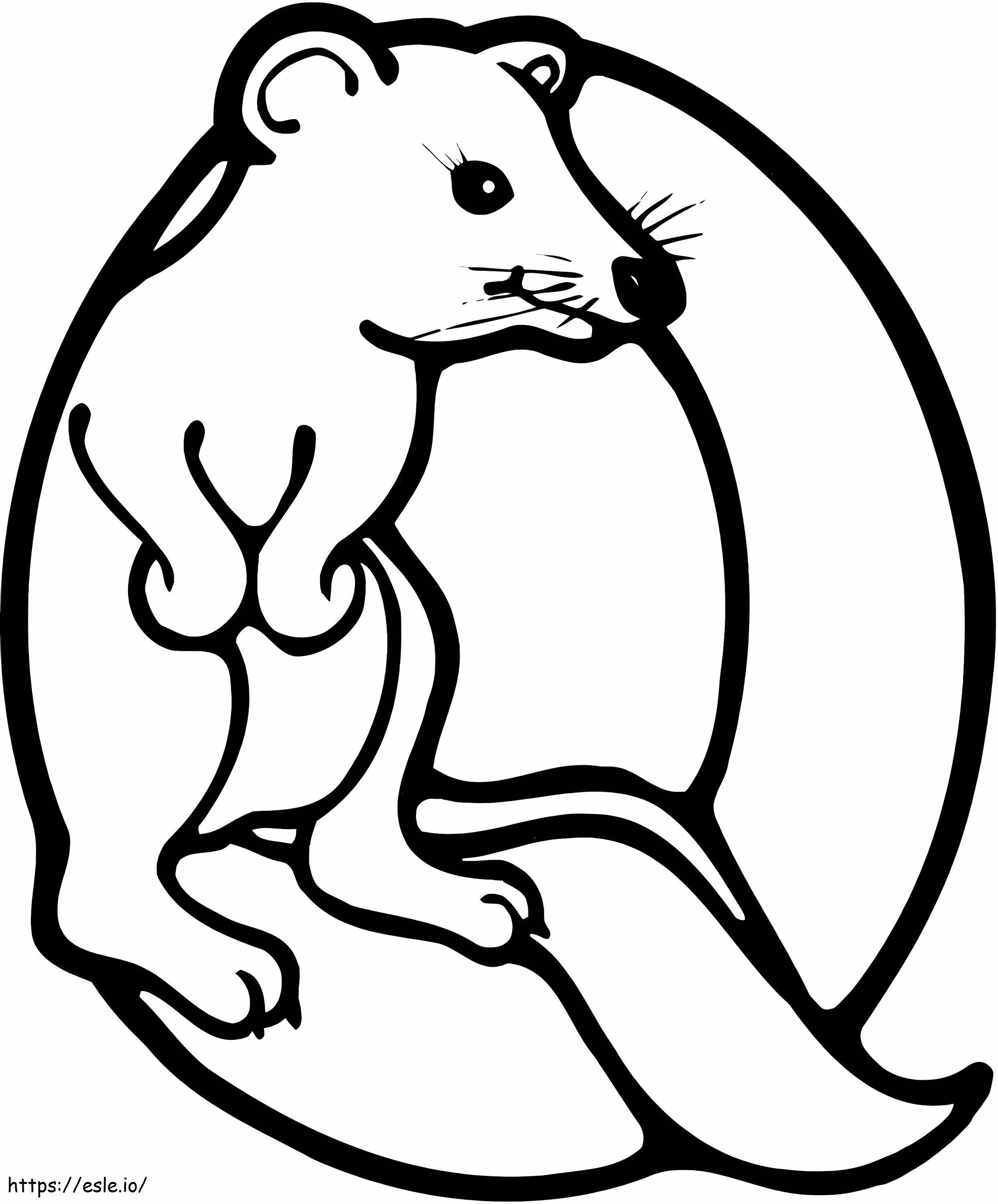 Letra q de quokka coloring page