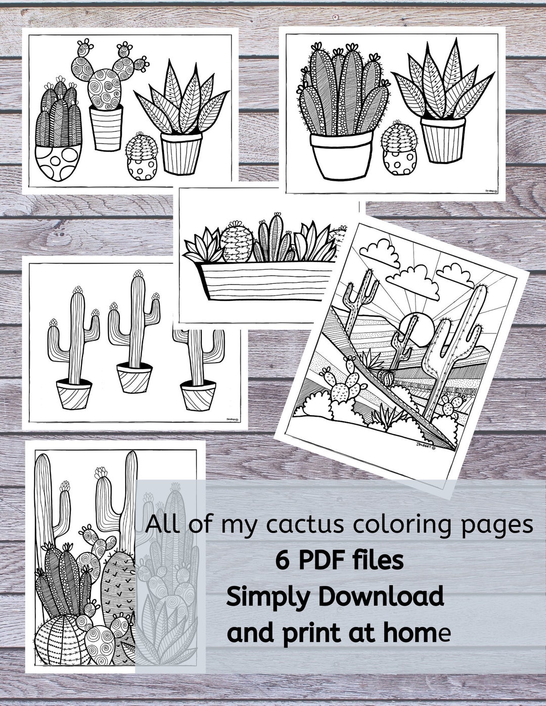 Cactus coloring page bundle pack pdf download print color at home coloring page printable instant download