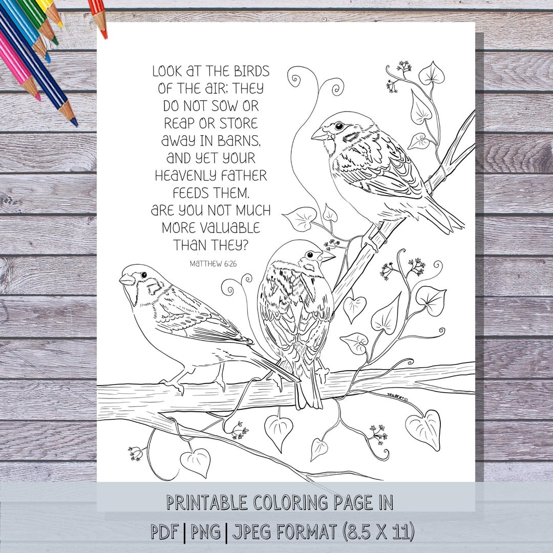 Bible verse coloring page printable instant download do not worry matthew adult coloring bible study instant download