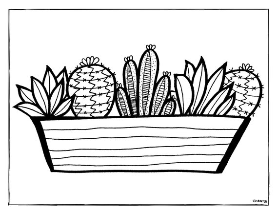 Cactus coloring page bundle pack pdf download print color at home coloring page printable instant download